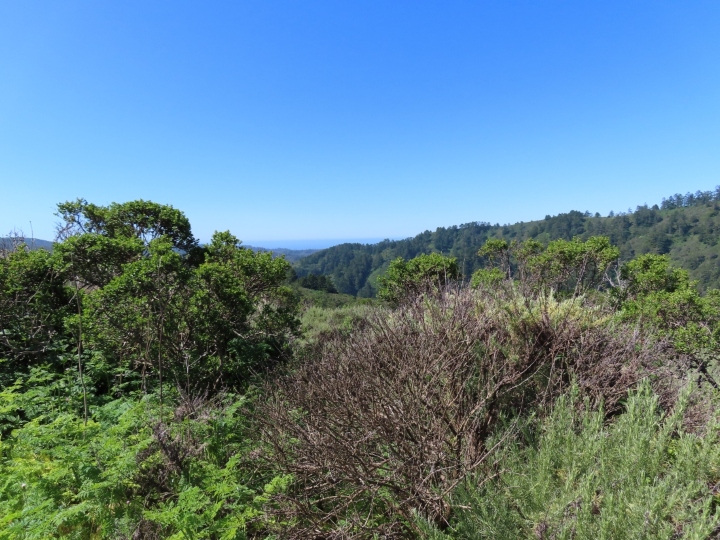 Santa Cruz Mountains